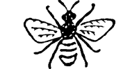 Simple Bee thumbnail